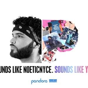 Meet your Posher, Noetic